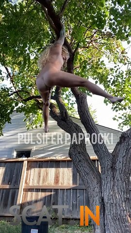 PulsiferPaprocki - Hanging Tree Poop (UltraHD 2K 1920p)