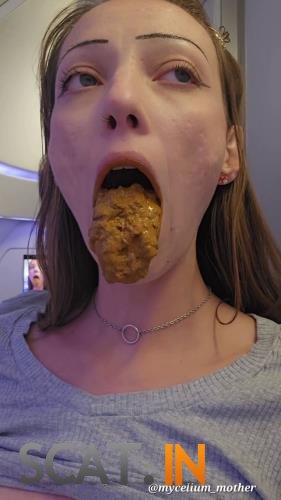 Mycelium_Mother - In-Flight Snack (UltraHD 2K 1920p)